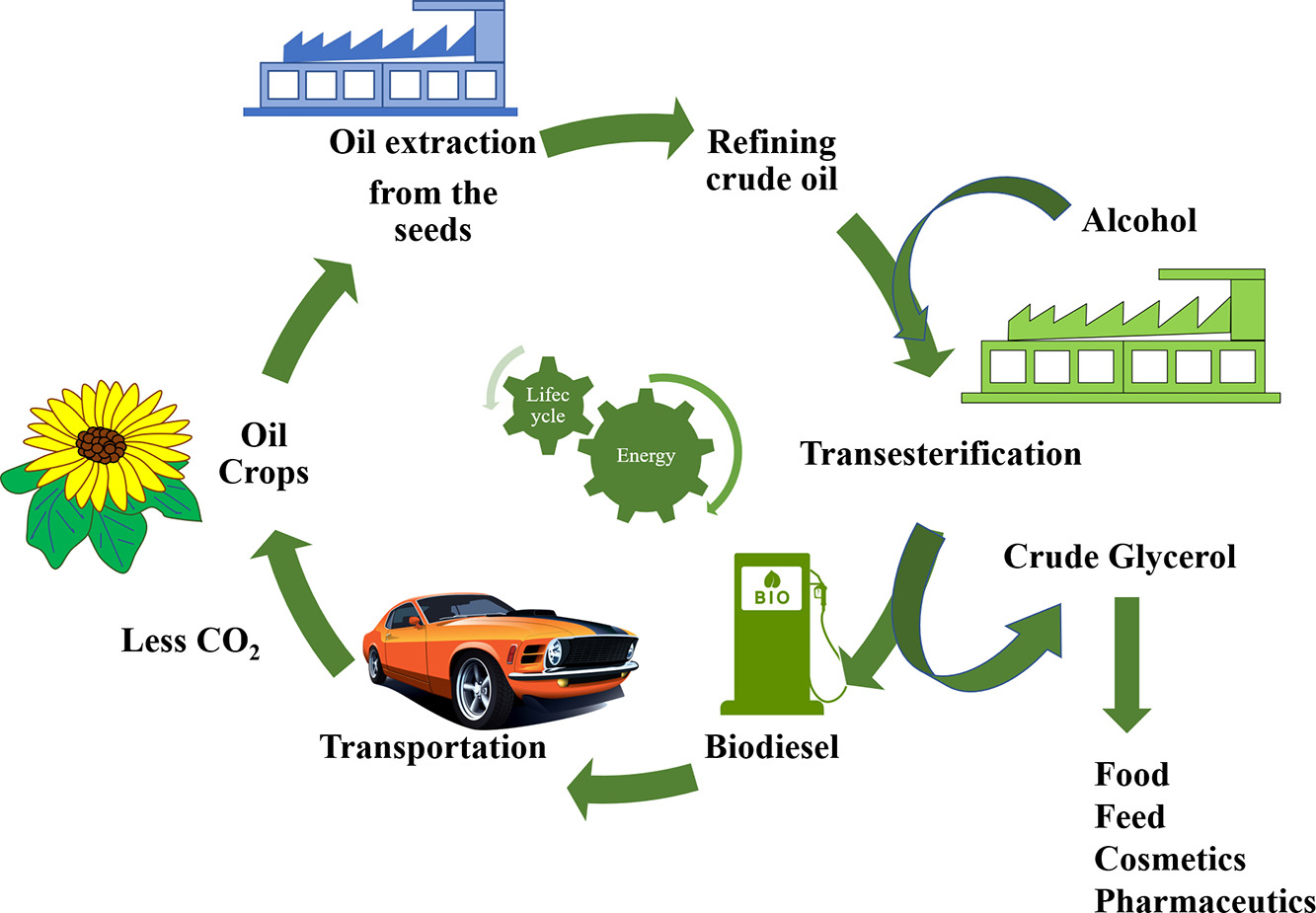 B100 Biofuel
